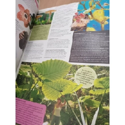 Guinness world records 2021 552240