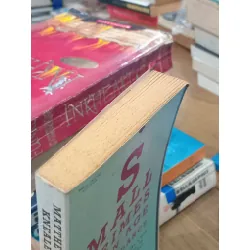 Small crimes in an ages of abundance - Matthew Kneale