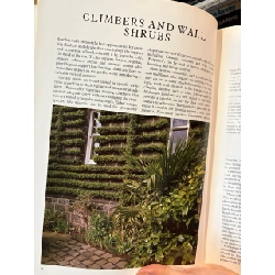 The garden designer selecting plants - Caroline Boisset and John Walker