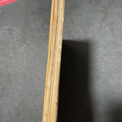 Tiểu đoàn 303 tỉnh Thủ Biên 1990 332462