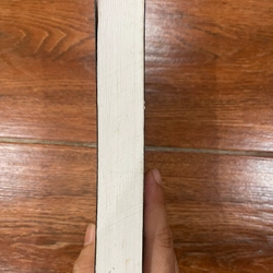 3.3.9.9 những mảnh hồn trần - Đặng Thân (k1) 540941