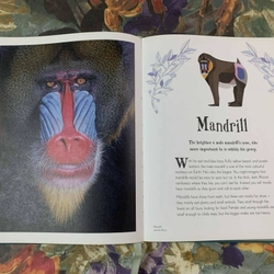 An Anthology of Intriguing Animals 538463