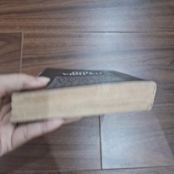 Tình viễn xứ 506181