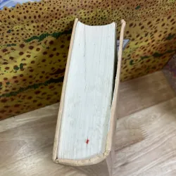 Bìa Cứng - Nhật Ký Chu Cẩm Phong (Nhật Ký Chiến Tranh) 1008596