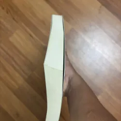 Combo Sharon Bolton - Kẻ sống sót, Vòng hoa cúc 797754