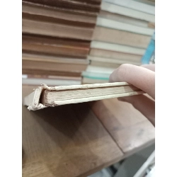 The seaside "Children's republic" - Vasily Golyshkin 762416