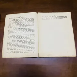 Tình bạn (truyện Phật giáo)  719705