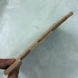 Tiếng thì thầm trong huyên náo 998244