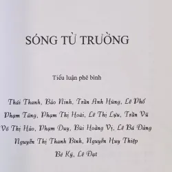 Sóng từ trường (Thụy Khuê) 760307