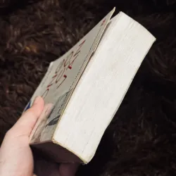 Ông cố vấn 786022