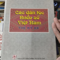 Các dân tộc thiểu số ở việt nam thế kỷ 20