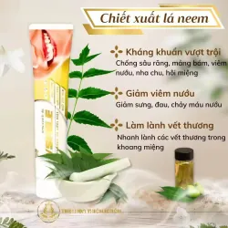 Kem đánh răng thảo dược Vsmile cho bé ngừa sâu răng dùng cho người niềng răng, dưỡng nướu 972168