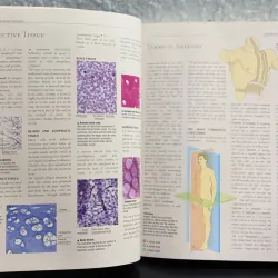 Atlas of Anatomy - Giải phẫu học 971633