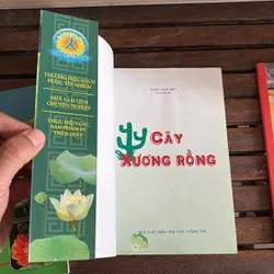 II Cây Cảnh: Xương Rồng Và Cây Mọng Nước (Sách Màu) - Dương Ngọc Hiệp 718583