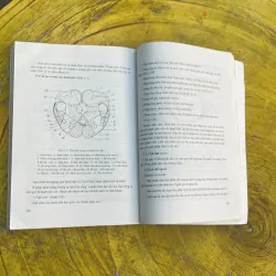 GIẢI PHẪU HỌC - QUÁCH VĂN TỈNH chủ biên 777913