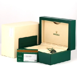 Đồng hồ Rolex Datejust 126331･3 SSxPG tự động - Hàng hiệu chính hãng 880926