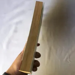 Bobby Đi Hoang | Albert Payson Terhune 799237