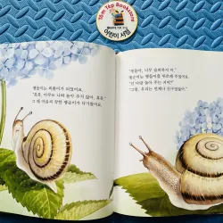 관찰동화 Truyện quan sát quan sát thiên nhiên 784617