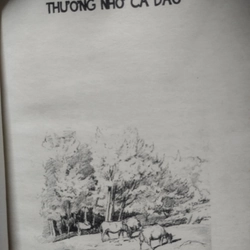 Những sườn núi lấp lánh" của tác giả Lê Minh Khôi.  496649