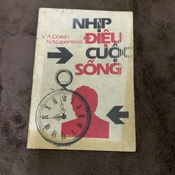 Nhịp điệu cuộc sống