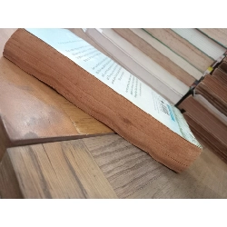 Prodigal Son - Danielle Steel 279263