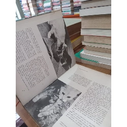 Le livre d'or des Chats 759549