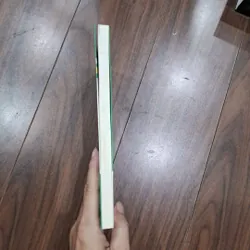 Hoa tulip đen 717723