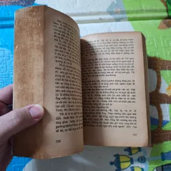 Chim Ưng Vẫy Cánh 786985