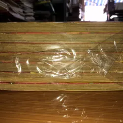 Gia tộc rồng - Nari Kusakawa 779669