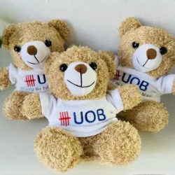 Gấu Bông Cao Cấp Teddy Cho Bé yêu 535314