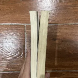 Cậu bé cưỡi rồng 2 tập  745003