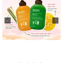 SET QUÀ 8/3 COMBO DẦU GỘI XẢ THẢO DƯỢC GỪNG SẢ CỎ CÂY HOA LÁ 500G (Date T10/2027) 934671
