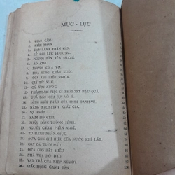 Giai thoại nhà thiền - Phạm Võ 544340