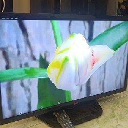 LED LG 32" PHỤ KIỆN ĐẦY ĐỦ VIỀN MỎNG SIÊU RẺ 3388