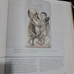 The western heritage 1000902