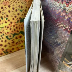 Những Tấm Ảnh Trở Về 957243