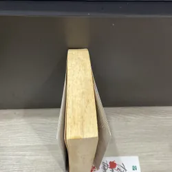 Từ Bi Thành của Đinh mặc 705444