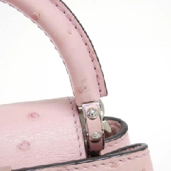 Túi xách Louis Vuitton Exotic Leather Capucines MINI N99334 618691