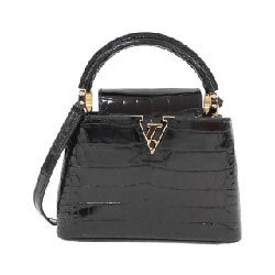 Túi xách Louis Vuitton Exotic Leather Capucines MINI P01131