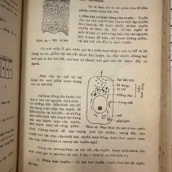 VẠN VẬT HỌC LỚP MƯỜI HAI A - ĐỖ DANH TẦM & NGUYỄN VĂN LONG 716801