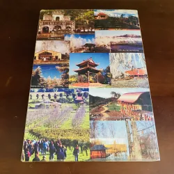 Hương trà toả ngát - Thích Nhất Hạnh - Lá Bối  1042521