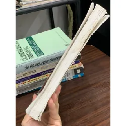 Giáo trình Lý luận văn học – Tập II: Tác phẩm và thể loại văn học – Trần Đình Sử (chủ biên) 593341