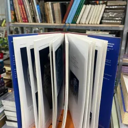 GỐM SỨ TRONG NĂM CON TÀU CỔ Ở VÙNG BIỂN VIỆT NAM 558256