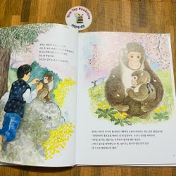 Set sách tranh cho bé 아이성장 그림책   496934