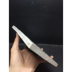 Cú sốc dưỡng dục PO Brinson - Ashley Merryman mới 80% bẩn HCM.ASB0309 913435