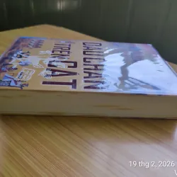 Dấu Chân Trên Cát - Nguyên Phong 907848