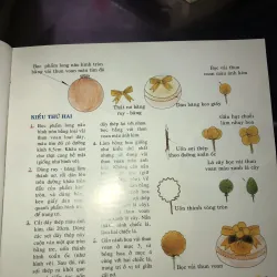 Nghệ thuật làm voan - Quỳnh Nhiên 1025777