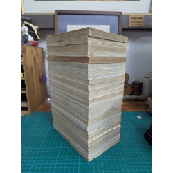 TRUYỆN TRANH Cuộc Sống Hoang Dã - Fujisaki Masato 145265