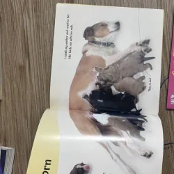 Bộ sách 9 quyển tiếng Anh cho bé See how they grow in màu mới đẹp 1031411