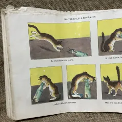 Truyện tranh đẹp  961664